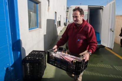 Una imatge d'arxiu d'un dels passos de la cadena del Programa.