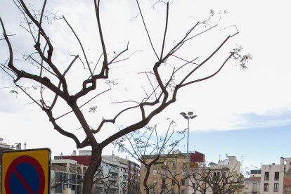 Una imagen de los trabajos que ahora se llevan a cabo en el aparcamiento.