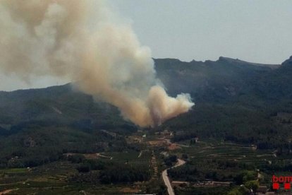 El incendio forestal se ha producido al lado de la C-44.