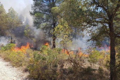 Els bombers ja estan treballant en l'extinció