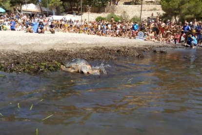 L'alliberament es ja una festa popular, amb actes que s'obren al públic