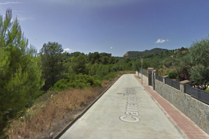 El fuego se ha originado en el barranco de vegetación situado delante de la calle del Espinós.