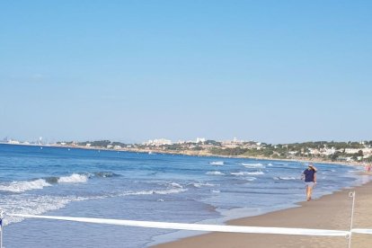 Imatge del dofí mort trobat a la platja llarga el matí d'aquest divendres.