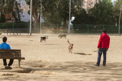 Imagen de archivo de varios usuarios del parque para perros instalado en la plaza del Velòdrom.