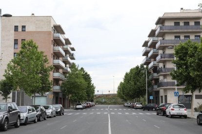 Vista general d'alguns blocs de pisos situats al carrer on ha succeït el darrer robatori.