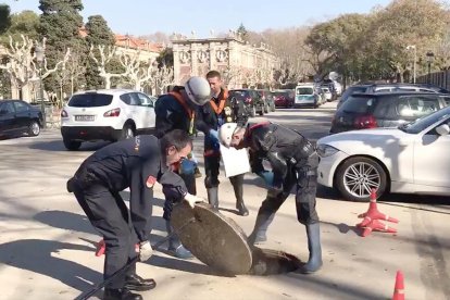 Policías abriendo la tapa de una alcantarilla cerca del Parlament de Catalunya