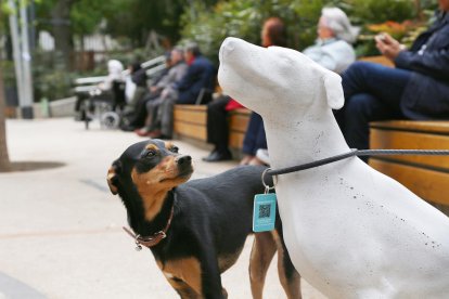 Imagen de una de las figuras para promover la adopción.