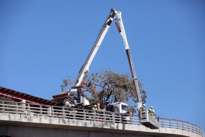 Uns operaris intervenen en la reparació del Vial Bryant des de fa uns dies per evitar els efectes negatius de la corrosió marina.