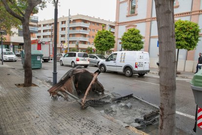 Un contenidor calcinat a la zona de la Biblioteca Xavier Amorós.