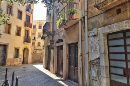 La plaza de Ripoll es uno de los lugares donde se acumulan más insectos, que empiezan a molestar a vecinos y turistas.