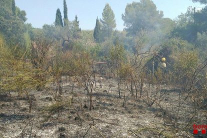 Un incendi s'ha declarat a la