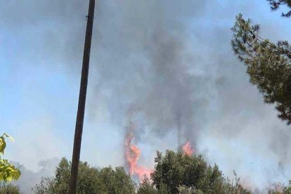 Imatge de l'incendi que ha tingut lloc en un descampat de Sant Pere i Sant Pau.