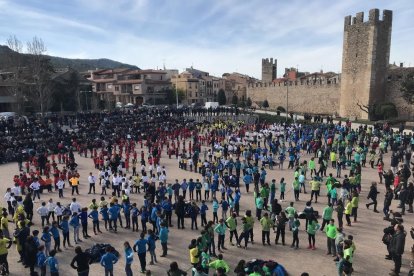 Ballada simultània de sardanes, amb 850 escolars repartits en 40 anelles.