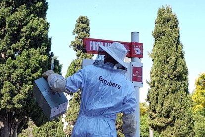 Los Bomberos han procedido a retirar la colmena del lugar.