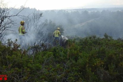 Tres dotacions dels Bombers van extingir el foc en prop de mitja hora.