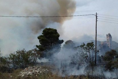 El foc només ha afectat vegetació