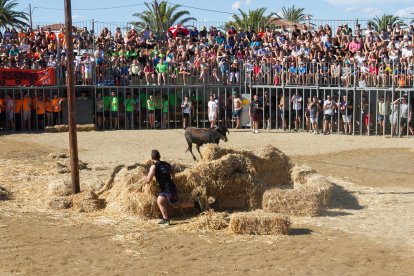 Els membres de les penyes intenten fer retallades o saltar per damunt dels animals.