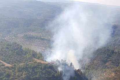 Imagen aérea del incendio a la