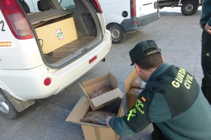 En les caixes de les dues empreses ubicades al Polígon Riu Clar de Tarragona hi van trobar 2,5 quilos de picadura de Tabac, mentre que a les de la companyia d'Amposta hi van trobar 14 quilos.