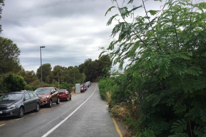 Aspecto que ofrecía el acceso a la urbanización Cala Romana y a la playa de los Capellans.