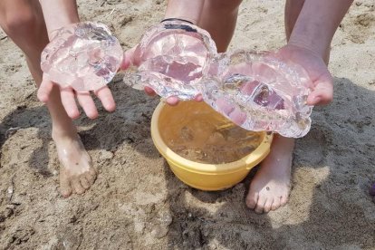 Alguns usuaris de la platja de la platja de la Pixerota van recollir algunes meduses.