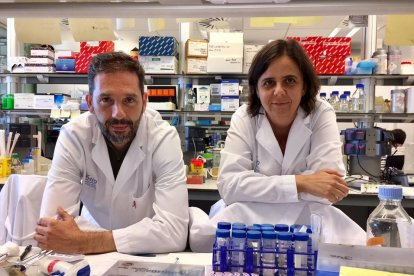 Josep Villanueva i Olga Méndez al laboratori del VHIO.