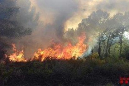 Imatge de l'incendi forestal del barri de Sant Salvador de Tarragona.