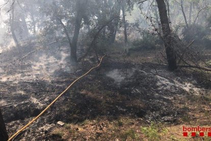 El fuego habría quemado 550 metros cuadrados en la zona de la Rasa de les Boixeteres.