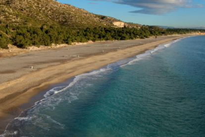 Imagen Playa El Turno