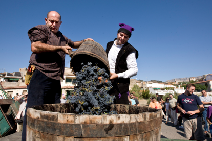 Imatge de la preparació de la Piada, la tradicional trepitjada del raïm.