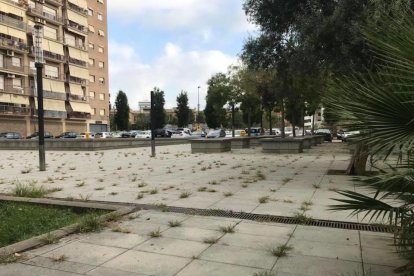 Imagen de esta misma semana donde se pueden observar decenas de hierbas entre las baldosas.