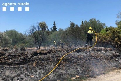 Imagen del incendio que ha tenido lugar al lado de la urbanización de Favaret en Amposta.