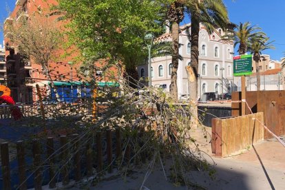 El vent ha fet caure arbres a Tarragona