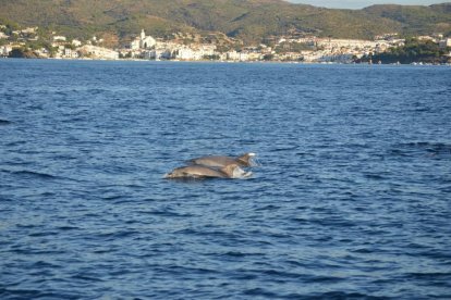 El Área Marina Protegida