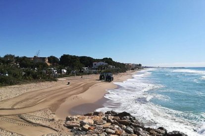 La Concejalía de Playas ha procedido a la retirada de las velellas de las playas.