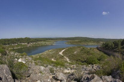 Presa del Catllar.