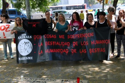 Una pancarta animalista sobre la humanidad de las bestias delante de la Ciudad de la Justicia.