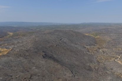 Pla aeri captat amb dron de la zona cremada per l'incendi de Ribera d'Ebre a Bovera amb una gran extensió de terreny afectat per les flames, el 2 de juliol de 2019