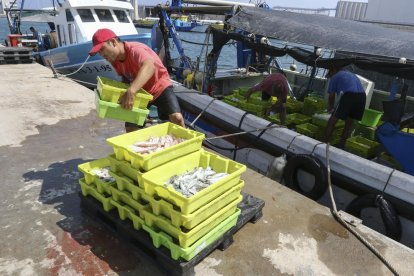 Un hombre carga pescado de una de las 23 embarcaciones que ayer se hicieron al mar.