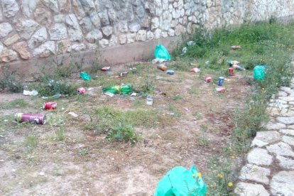 Imagen de botellas y latas tiradas en el pasaje Josepa Massana.