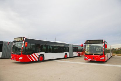 Dos dels busos articulats