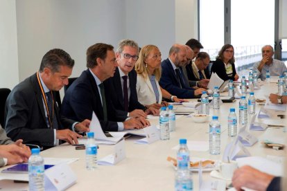 El juez José de la Mata durante la reunión con representantes de las comunidades autónomas por el caso iDental.