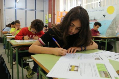 Aquest curs es posen en marxa sis nous cicles formatius de grau superior i mitjà.