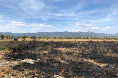 Imagen del campo donde se produjo el incendio.