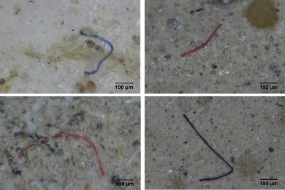 Detall de microplàstics estudiats per la UAB al delta de l'Ebre. Imatge publicada el 4 de juliol del 2019 (horitzontal)