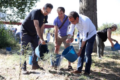 Josep Rull, en el manteniment d'espècies vegetals que es va fer al Francolí el juny del 2017.