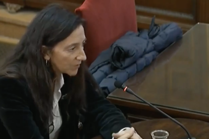 La dissenyadora informàtica Teresa Guix al Suprem.