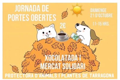 Cartel de la jornada de la Protectora de Animales