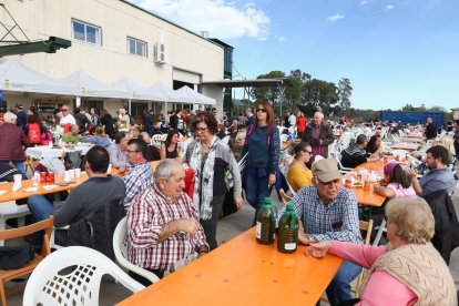 Al llarg del matí els visitants van poder degustar l'oli nou.