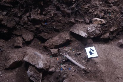 Detalle de un resto humano localizado en la cueva de los Xaragalls, en Vimbodí y Poblet.